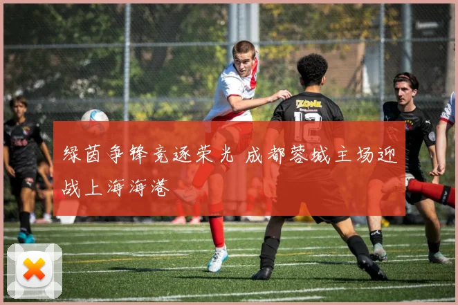 绿茵争锋竞逐荣光 成都蓉城主场迎战上海海港